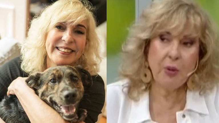 Qué hace Georgina Barbarossa para calmar a su revoltoso perro