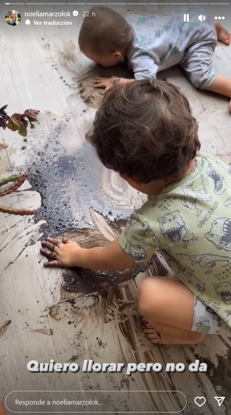 Quiero llorar”: Noelia Marzol compartió un video del desastre que hicieron  sus hijos en el jardín de su casa | Ciudad Magazine