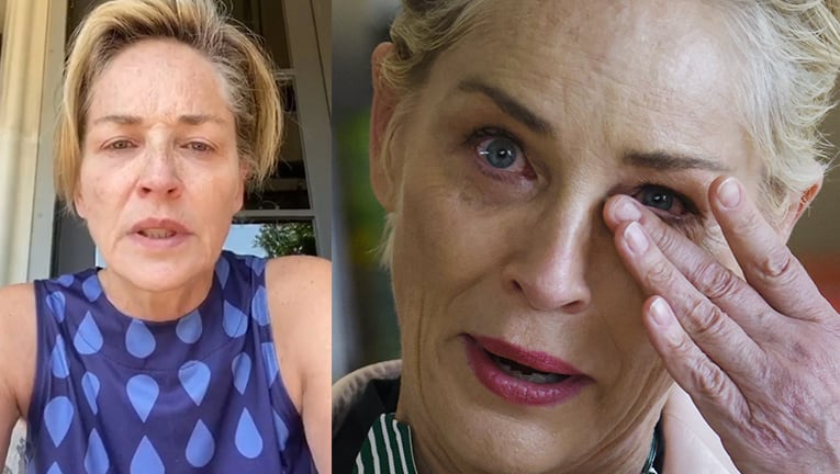 Sharon Stone compartió un desgarrador posteo por la muerte de su sobrino de 11 meses.