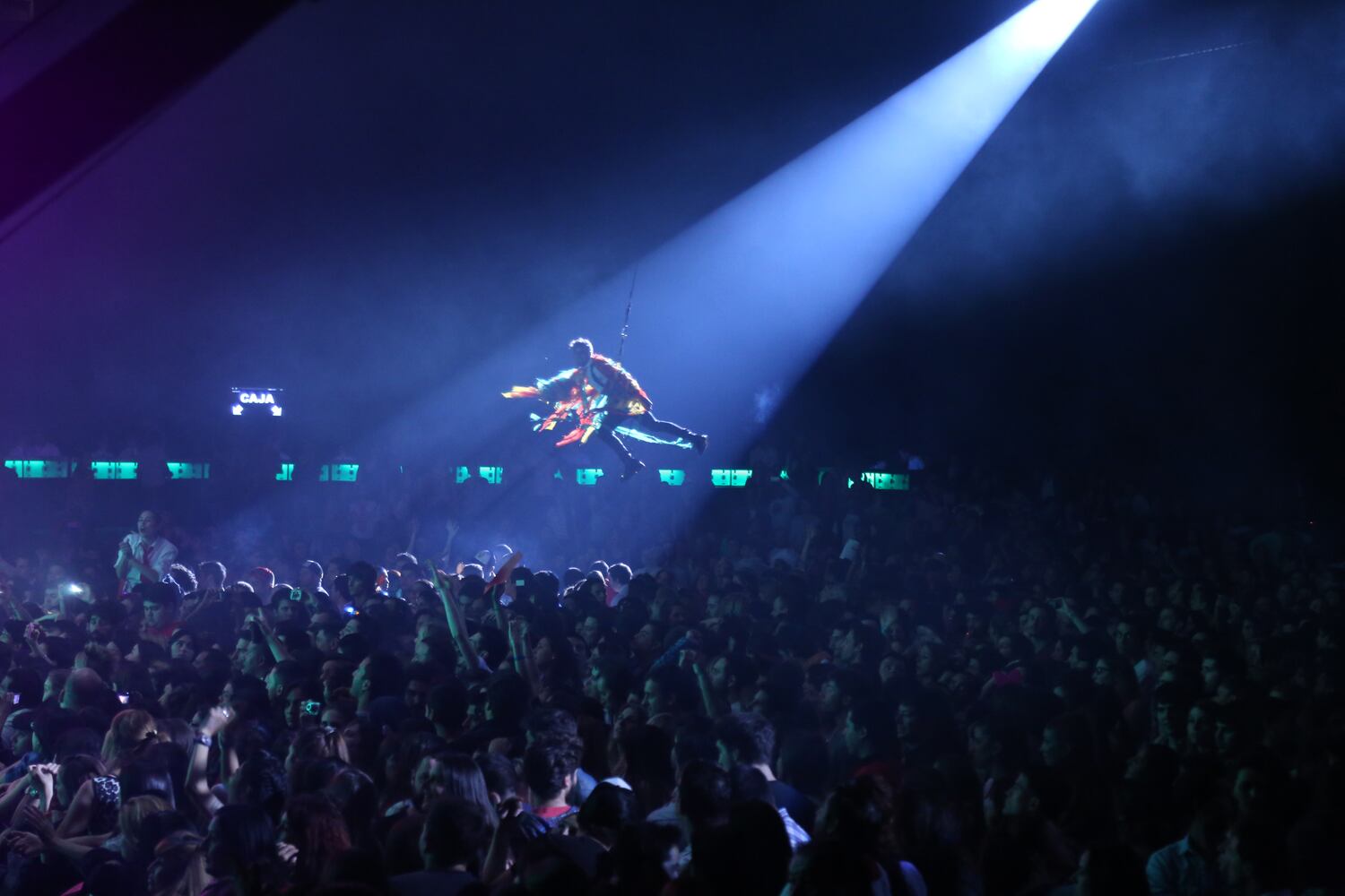 Show de Agapornis. (Foto Fran Larguía prensa).jpg