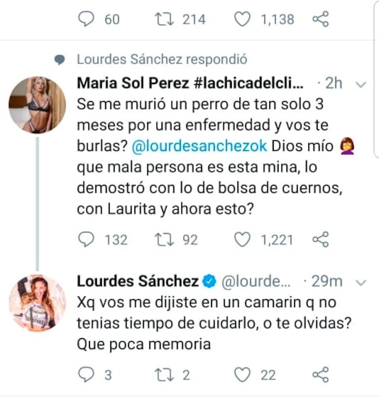 Sol Pérez acusó a Lourdes Sánchez de burlarse de la muerte de su perrito: la respuesta de la bailarina