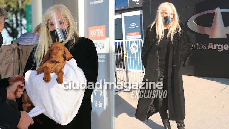 Susana Giménez volvió al país, después de transitar el Covid-19. Foto: Movilpress