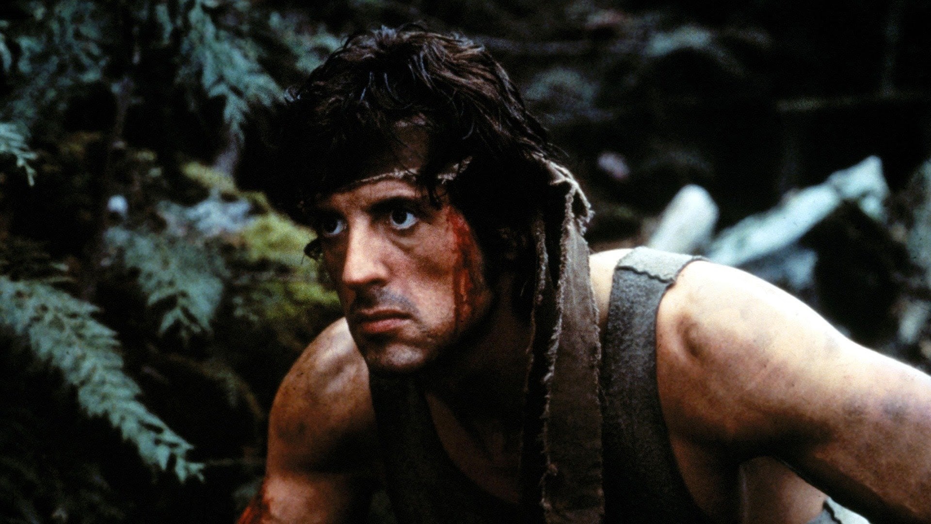 Sylvester Stallone stars in First Blood.