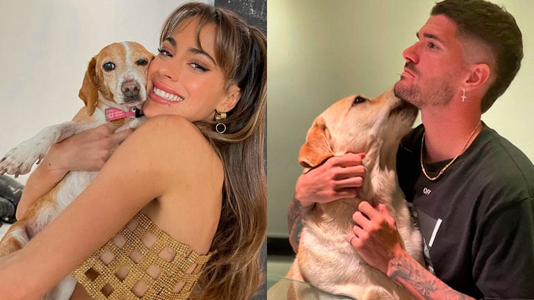 Tini Stoessel y Rodrigo de Paul: curiosa coincidencia en su amor por los perros