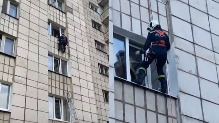 Un bombero se cuelga por la fachada de un edificio para rescatar a un gato atascado en una ventana