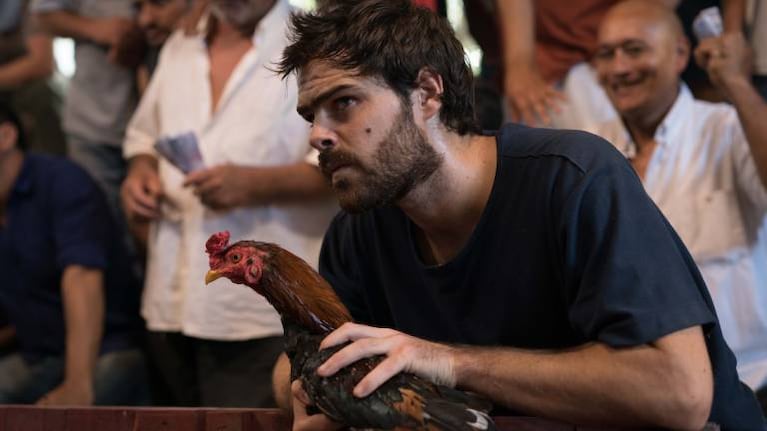 Un gallo para Esculapio, El lobista, Tu parte del trato y El maestro, las series argentinas que regresan