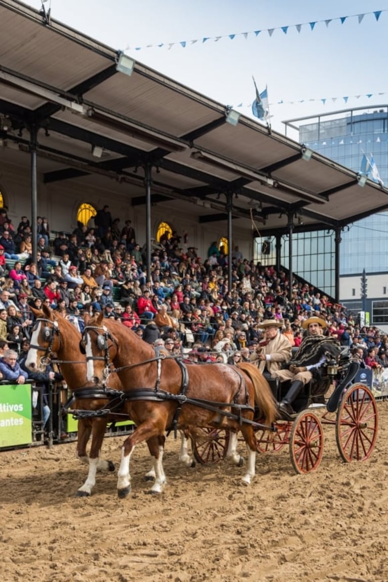 ¡Vacaciones para grandes y chicos! Vuelve la Expo Rural de Palermo: conocé las actividades que podrá disfrutar toda la familia