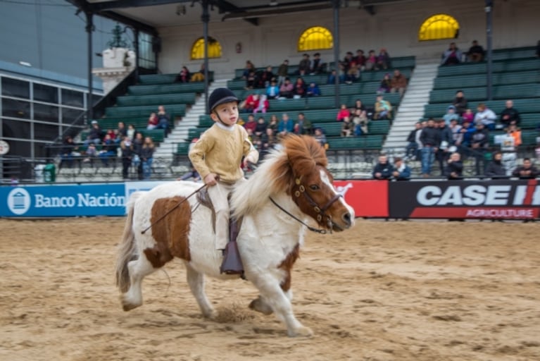 ¡Vacaciones para grandes y chicos! Vuelve la Expo Rural de Palermo: conocé las actividades que podrá disfrutar toda la familia