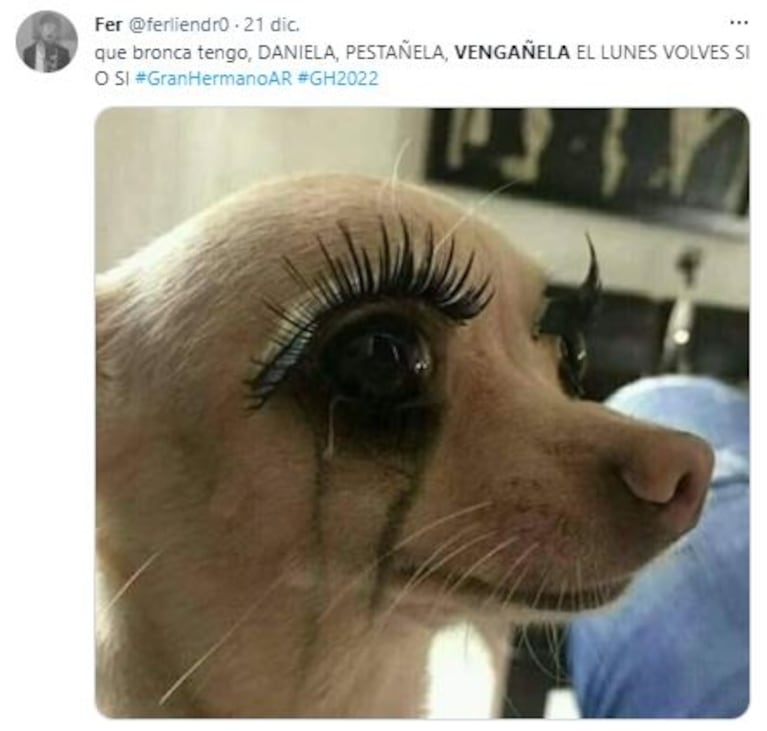 "Vengañela": el regreso de Daniela Celis a Gran Hermano 2022 generó una catarata de memes