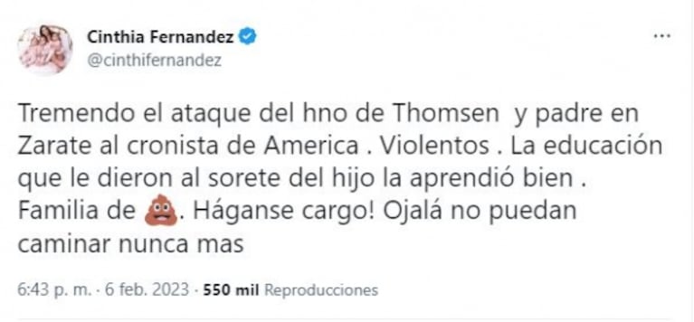 "Violentos, ojalá no puedan caminar nunca más": el descargo de Cinthia Férnandez contra la familia de Thomsen