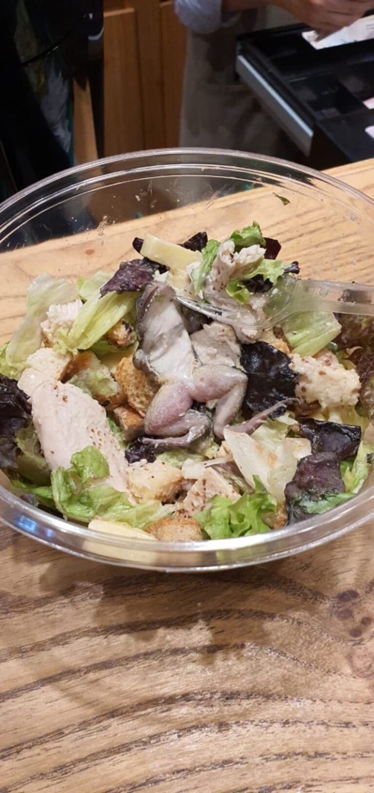 Viral: pidieron una ensalada en una reconocida cadena de comida saludable y descubrieron una rana en su plato