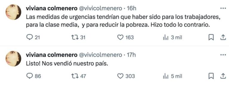 Viviana Colmenero lanzó un furioso descargo contra el DNU de Javier Milei: “Vendió nuestro país”