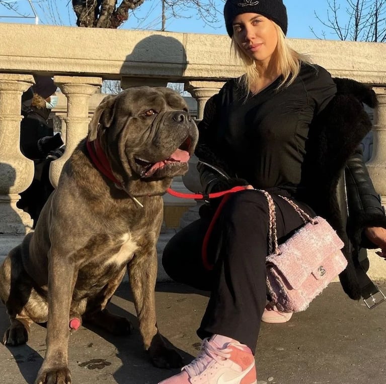 Wanda acusa a Mauro de tener de "rehenes" a las mascotas de sus hijas.