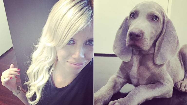 Wanda Nara tiene mascota nueva (Foto: Instagram)