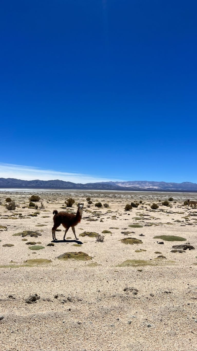 Yanina Latorre se descompensó durante sus vacaciones en Jujuy: “En la ambulancia, apunada”